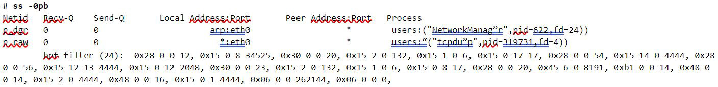 Figure 18. Output from ss tool showing a cBPF filter loaded by tcpdump process