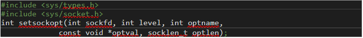 Figure 12. The prototype for a cBPF filter loaded through a call to “SYS_setsockop” to set options for an open network socket