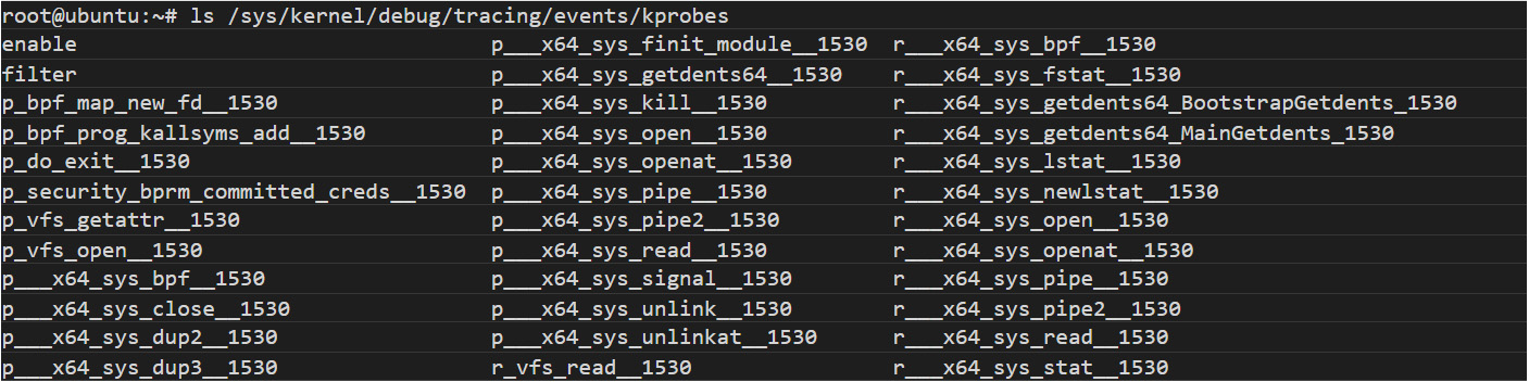 Figure 4. Output from a system infected with ebfkit