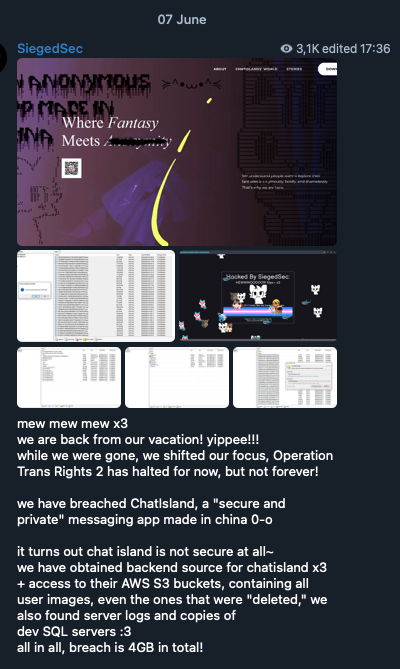 Figure 22. SiegedSec describing their attack on a messaging app’s website