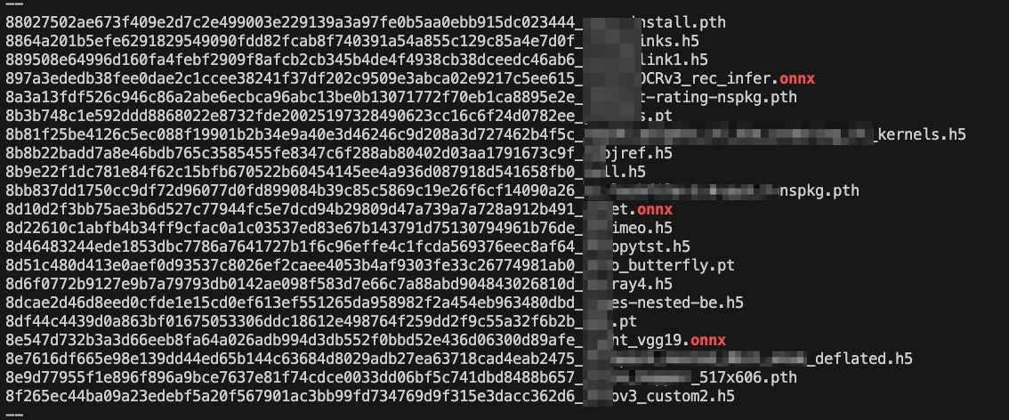 Figure 5. Several different model types leaked with the container images 