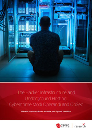 The Hacker Infrastructure and Underground Hosting: Cybercrime Modi Operandi and OpSec