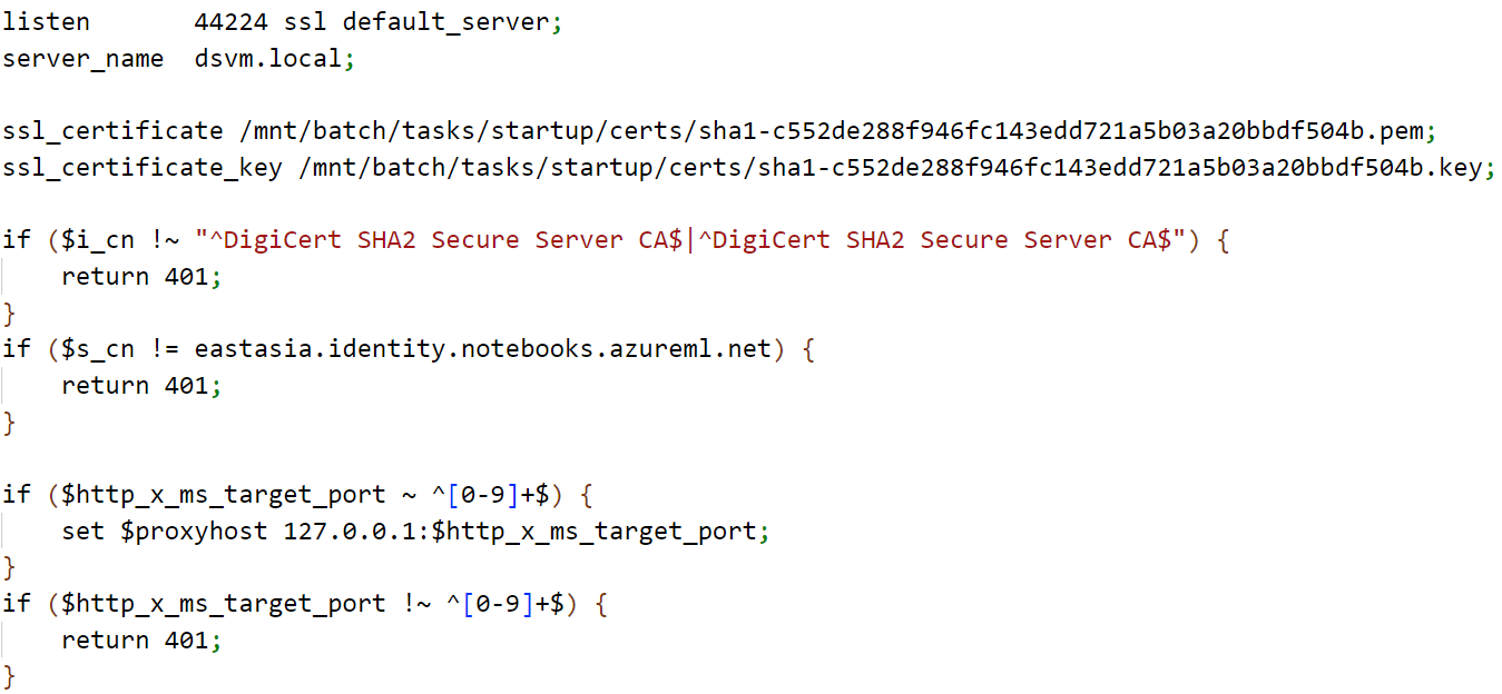 Figure 20. Initial checks in the nginx configuration of the CI