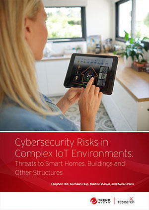 Cybersecurity Risks in Complex IoT Environments