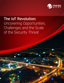 The-IoT-Revolution-Uncovering-Opportunities-Challenges-Scale-Security-Threat