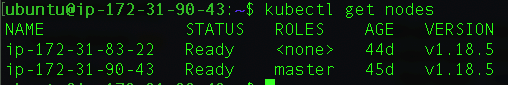 The output of the kubectl get nodes command