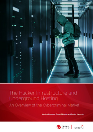 The Hacker Infrastructure and Underground Hosting: An Overview of the Cybercriminal Market