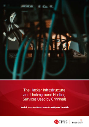 The Hacker Infrastructure and Underground Hosting: Services Used by Criminals