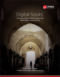 Digital Souks: A Glimpse into the Middle Eastern and North African Underground