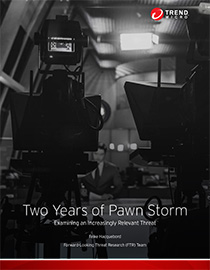 two years of pawn storm