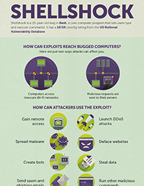 Attackers Exploit Shellshock Bug - BankInfoSecurity